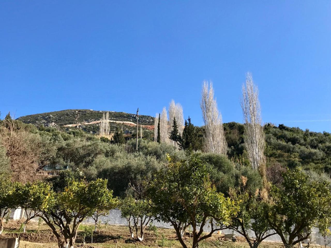 Vlore View Apartment 외부 사진
